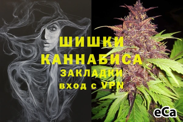 дмт Алзамай