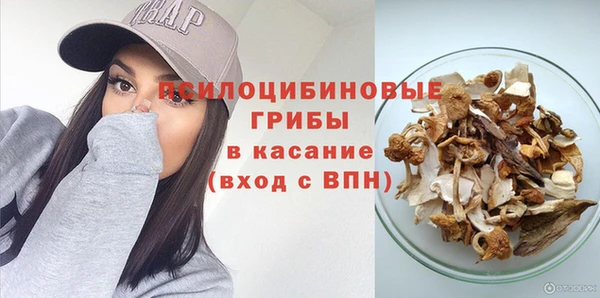 стафф Абдулино