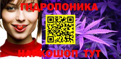 кокс Кандалакша