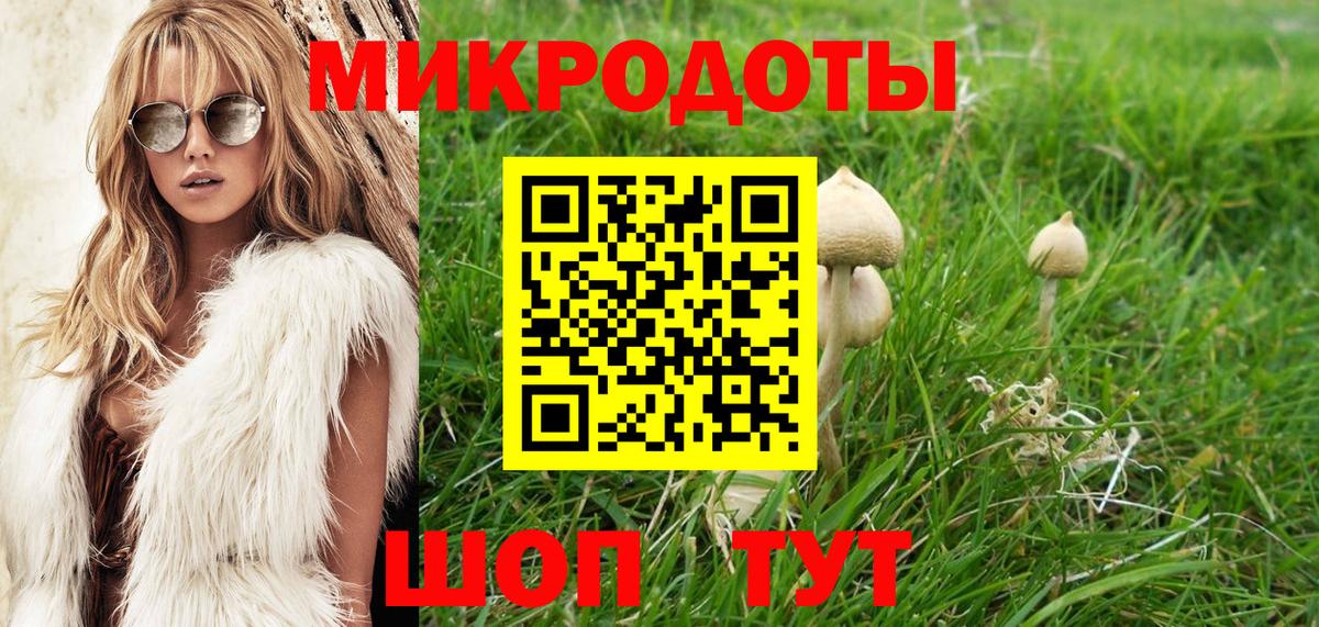 Мирный  Галлюциногенные грибы мухоморы  Вход с VPN 
